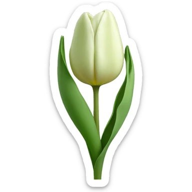 Sage green tulip sticker