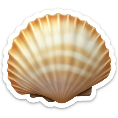 seashell summer  sticker