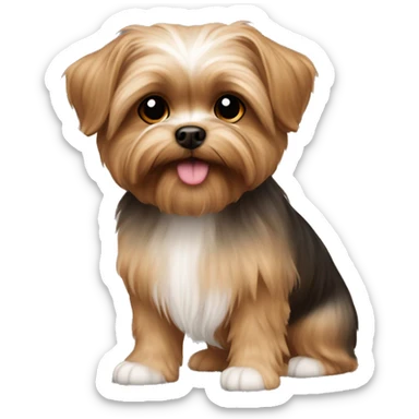 Light brown Shorkie sticker