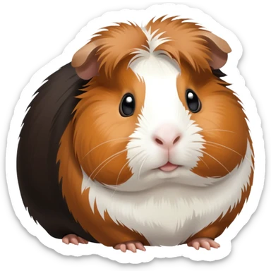 Black brown and white guinea pig sticker