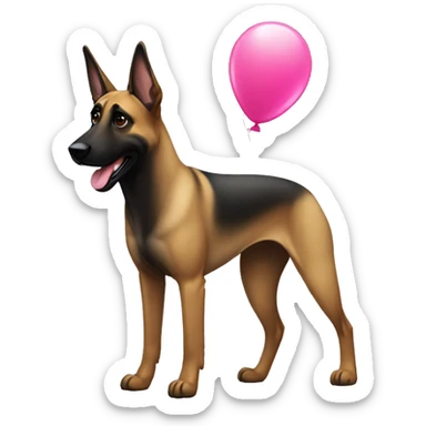 malinois with baloon sticker