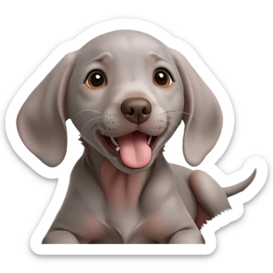 cinematic-cute-yawning-weimaraner puppy-portrait-emoji,-head-tilted-slightly-with-a-dramatic,-wide-open-yawn,-revealing-a-sleek grey fur-with-a-subtle-shimmer,-floppy-ears-slightly-drooping,-round-brown-eyes-barely-open-in-drowsy sticker