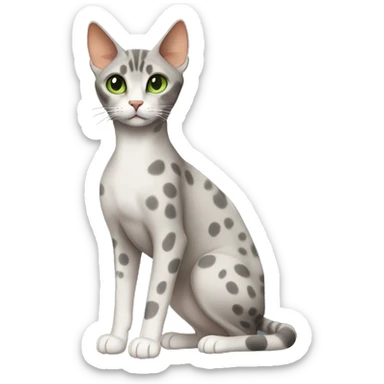 Short-haired oriental cat ,full body , grey coat with spots , green eyes , terracotta nuzzle sticker