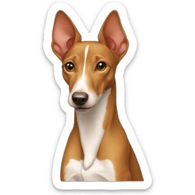 Podenco portugais sticker
