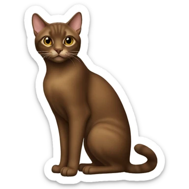 havana brown Cat Full Body sticker
