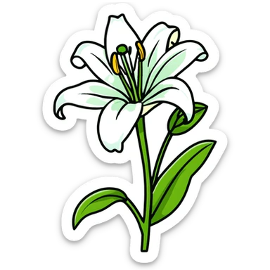 Pure white lily flower with accurate six-petal structure, visible stamens, and green foliage sticker