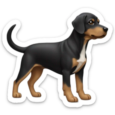 chien noir sur ses deux pattes arrière sticker