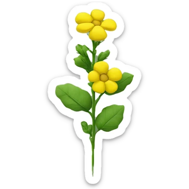 yellow rapeseed flower on a green stem sticker