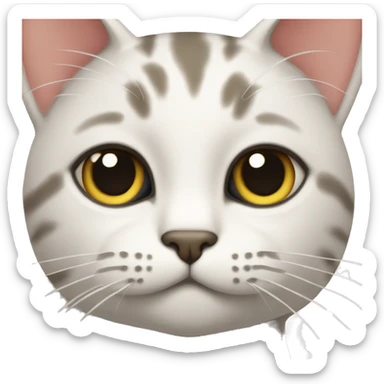 cat’s face with one brow up sticker