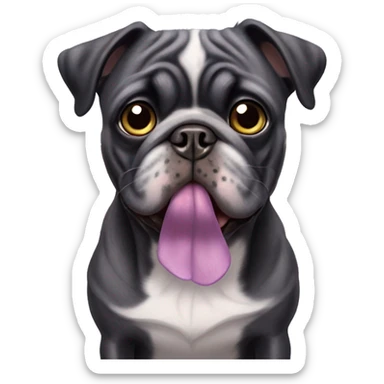 black pug with lilac merle bully dogs sticker