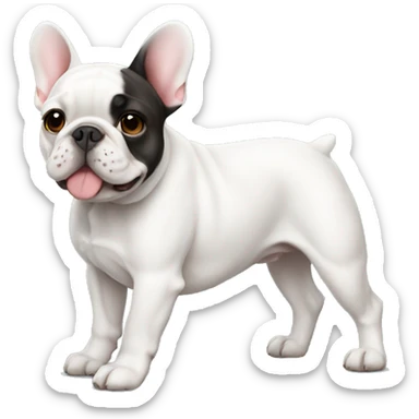 a french bulldog medium white  sticker