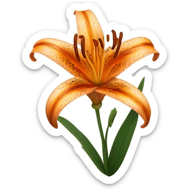 tiger lily sticker