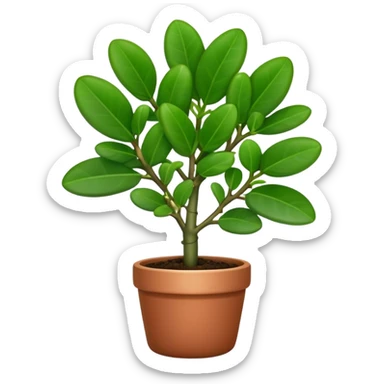 Cinematic Realistic Jade Plant Emoji, Thick and glossy, with dark green, round leaves that shine under the light. The sturdy stems and vibrant foliage give a sense of prosperity and tranquility. Soft glowing outline, capturing the essence of good luck, growth, and natural elegance in a flourishing jade plant! sticker