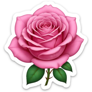 Natal rosa sticker