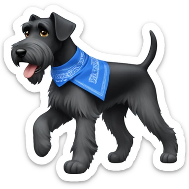 Giant schnauzer running around with a blue bandanna  sticker