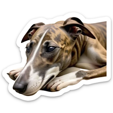 Meme-Worthy Cute Sleeping Brindle Greyhound Portrait Emoji, Head resting peacefully with a contented smile, showcasing a slender build and a luxuriously smooth brindle Fur, eyes shut in a serene nap, Simplified yet hilariously adorable features, highly detailed, glowing with a soft, drowsy light, high shine, relaxed and utterly lovable, stylized with an air of playful laziness, bright and heartwarming, soft glowing outline, capturing the essence of a comically sleepy racer, so meme-worthy it feels like it could instantly become the next viral sensation of adorable slumber! sticker