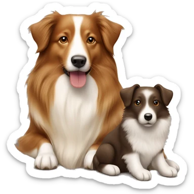 Shetland sheepdog and brown Labrador sitting sticker