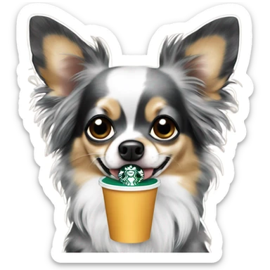 Blue black spotted Merle long hair chihuahua drinking Starbucks  sticker