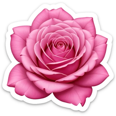“A Polaroid photo of a pink rose  sticker
