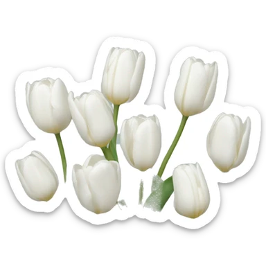 White tulips  sticker
