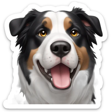black-and-white-border-collie-american-bulldog sticker