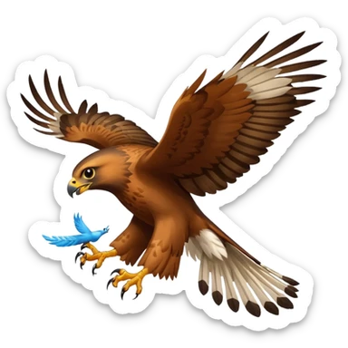 Hawk getting cat sticker