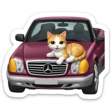 cat ride a Mercedes sticker
