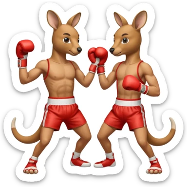 Kangaroo boxer sticker