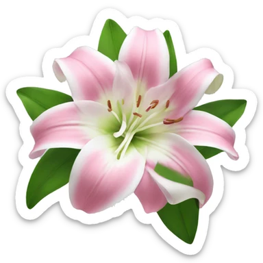 lily flower pink and white sticker