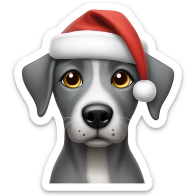 A grey dog with hazel eyes wearing a Santa hat sticker
