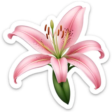 light pink lilium sticker