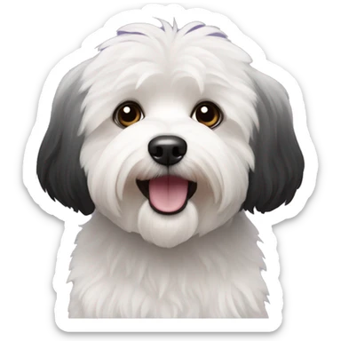 Black coloured dog bichon havanese go crazy sticker