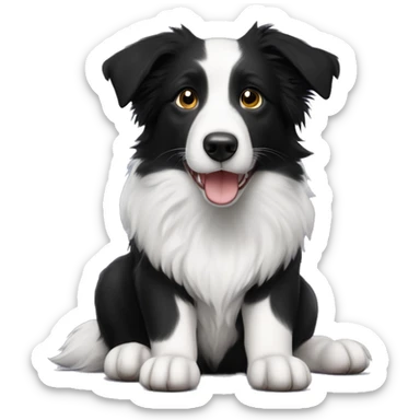 Border collie, hembra, 3 meses de edad, almbina, nariz con manchas sticker
