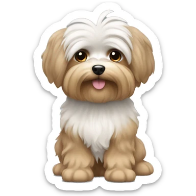 Yorkshire mixed with Maltese with grey, light brown, and white fur sticker