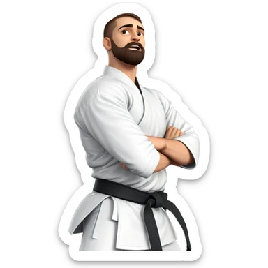 focused male in martial arts sticker