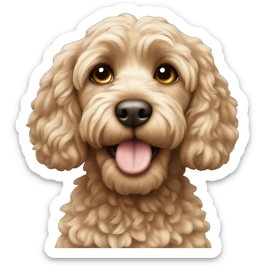 Cockapoo sticker