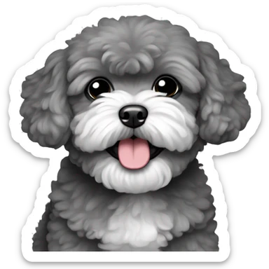 Charcoal gray maltipoo with closed mouth sticker