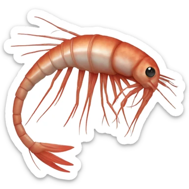 Shrim with a hrať sticker