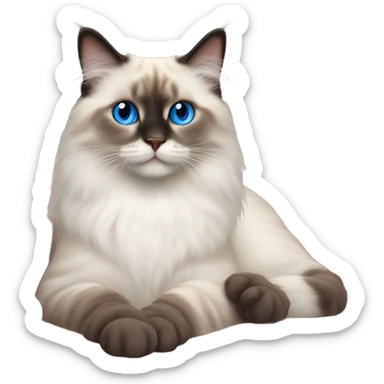Realistic ragdoll cat with blue eyes laying on pink pillow sticker