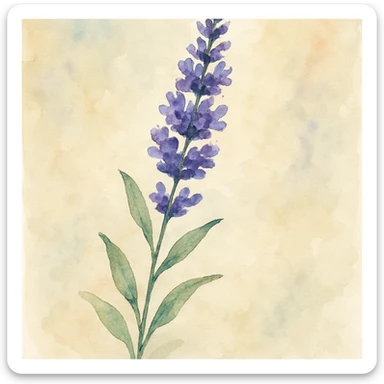 watercolor painting of a lavender flower sticker
