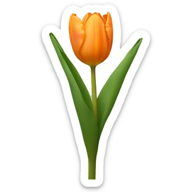 Pale orange tulip sticker