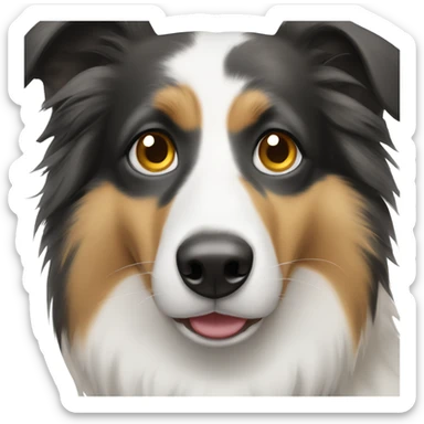 Collie with a black spot on right eye and black right ear sticker