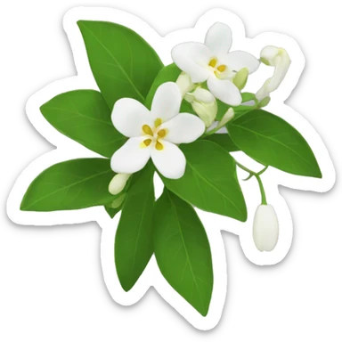 Night Jasmine flower sticker