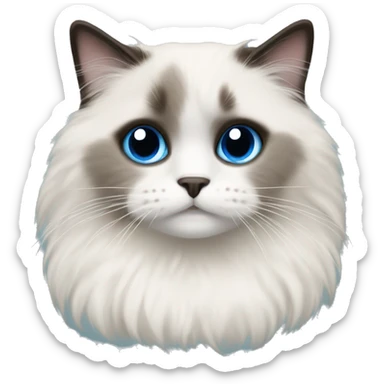 Ragdoll with blue eyes wearing a christmas sweater sticker