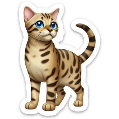 Seal Bengal cat with Blue eyes standing sticker