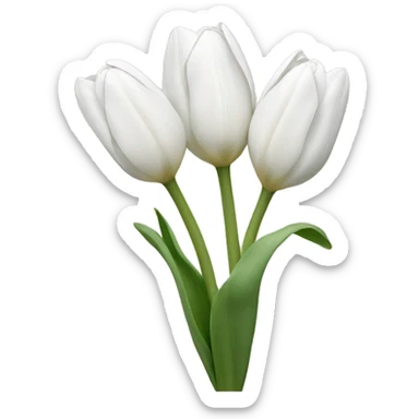 White tulips sticker