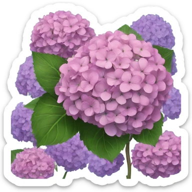 Hydrangeas  sticker