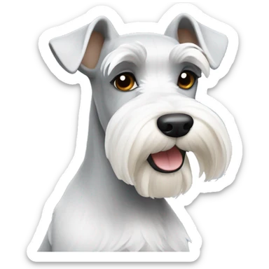The miniature Schnauzer is white sticker