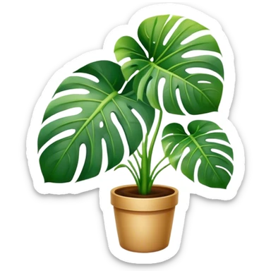 Monstera plant with Google eye  sticker
