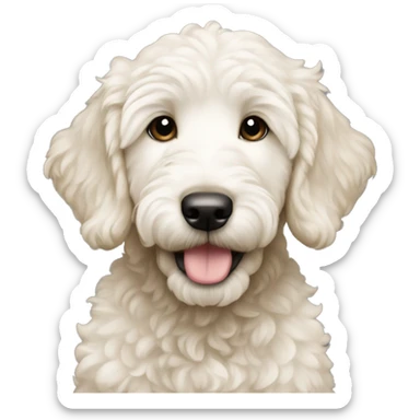 a white cream goldendoodle puppy sticker